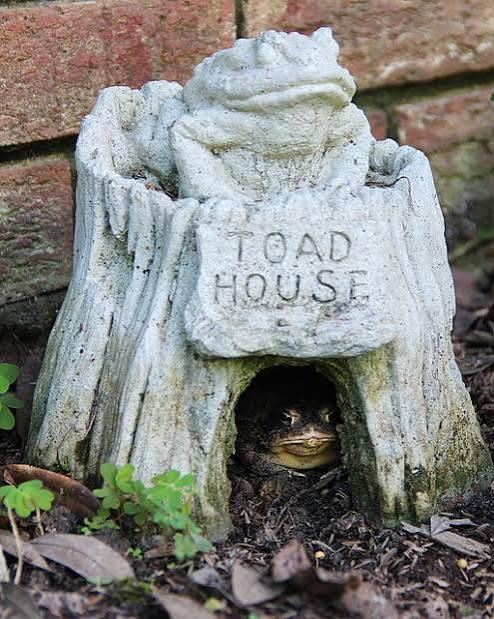 Garden Toad House