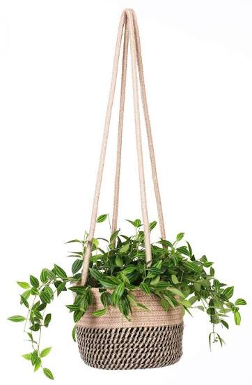 Hanging Planter with Jute Cord
