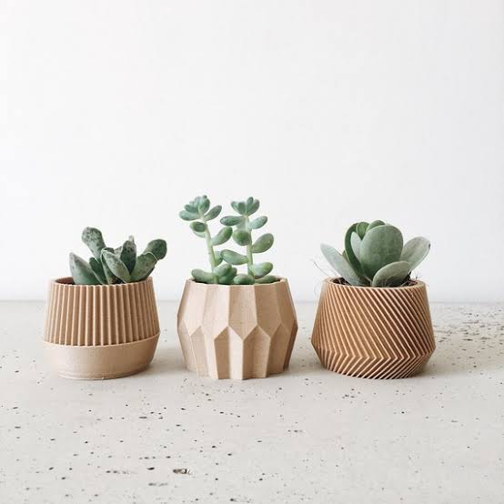 Mini Succulent Planters (Set of 3)