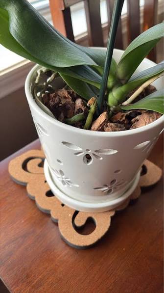 Orchid Pot with Side Vents