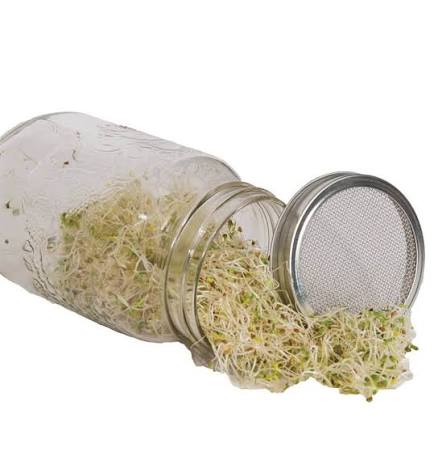 Seed Sprouting Jar