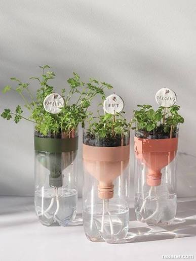 Self-Watering Planter