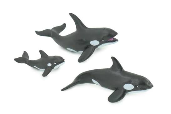 Whale Family (Set of 3)