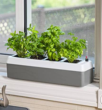 Windowsill Herb Trough