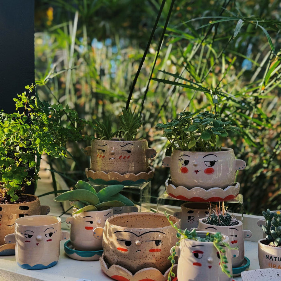 Mini Succulent Planters (Set of 3)