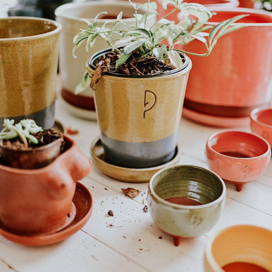 Self-Watering Planter